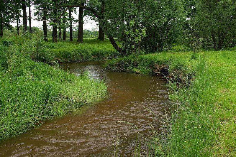 Privatunterkunft Karpnicka Struga W Dolinie Palacow I Ogrodow